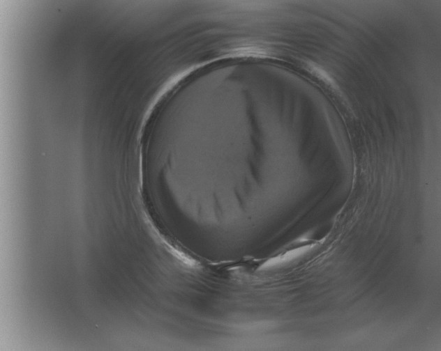 X0000067461323200604281818