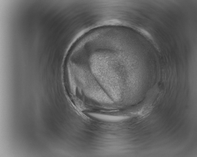 X0000067461326200604281818