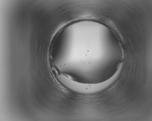 X0000067461328200604281818