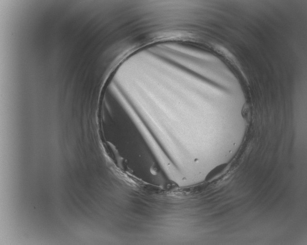 X0000067461330200604281818