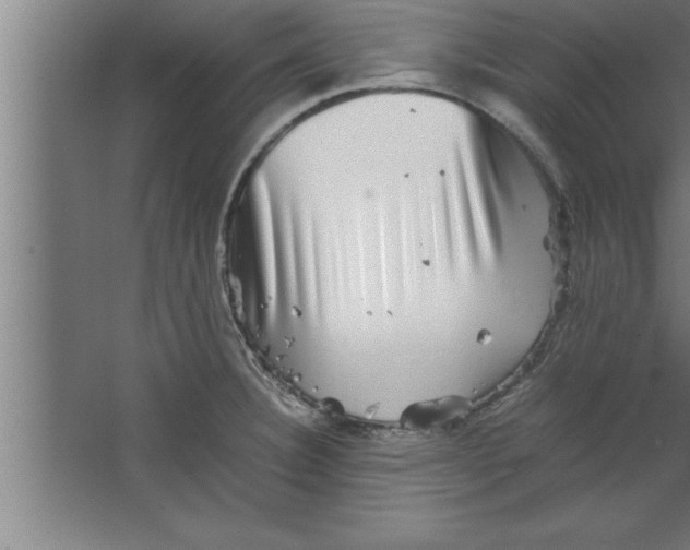 X0000067461332200604281818