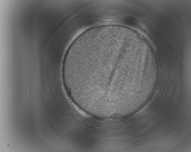 X0000067461333200604281818