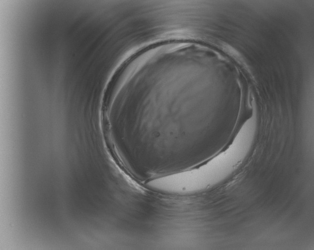 X0000067461334200604281818