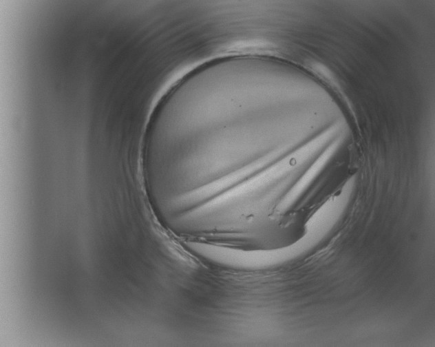 X0000067461336200604281818