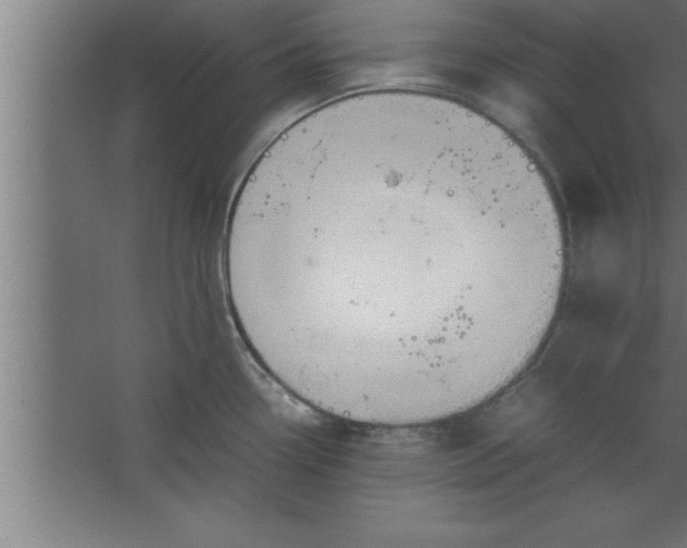 X0000067461338200604281818