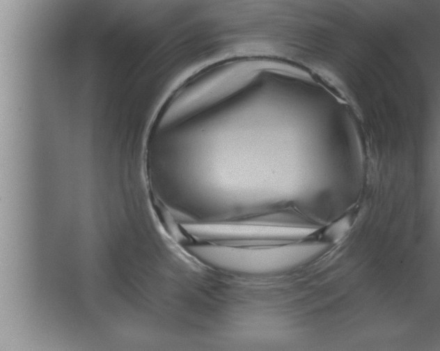 X0000067461342200604281818