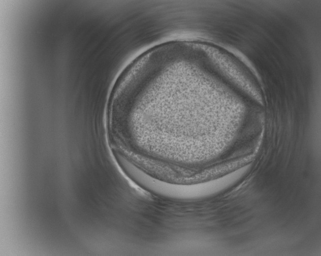 X0000067461343200604281818