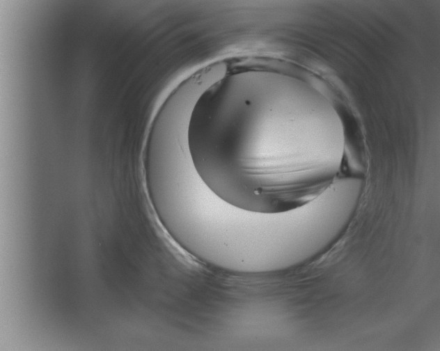 X0000067461344200604281818