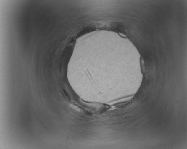 X0000067461345200604281817