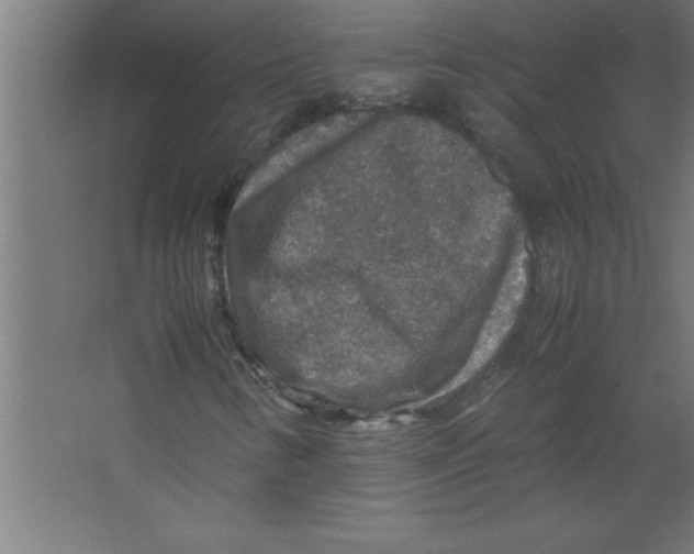 X0000067461346200604281817