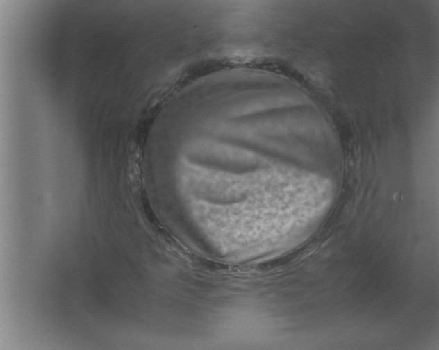 X0000067461349200604281817