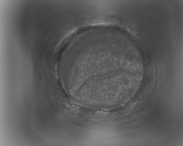 X0000067461351200604281817