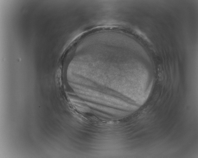 X0000067461352200604281817