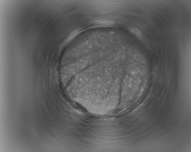 X0000067461354200604281817