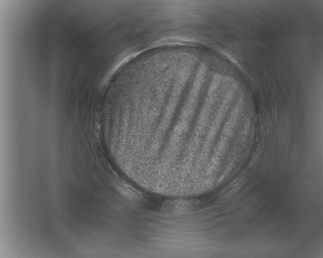 X0000067461355200604281817