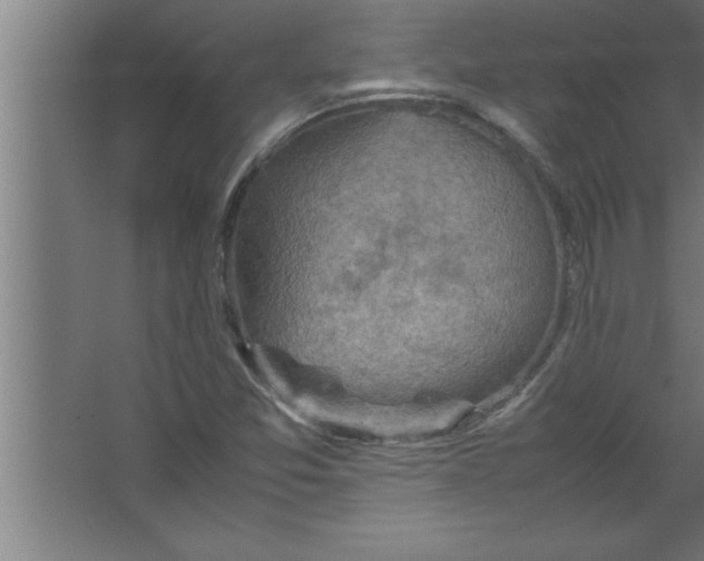 X0000067461357200604281817