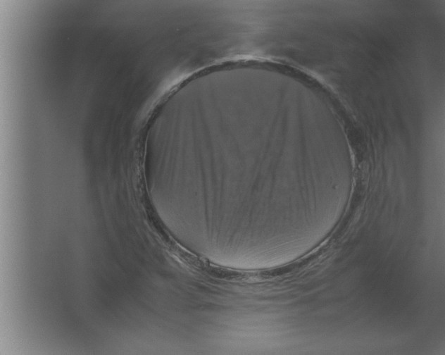 X0000067461359200604281817