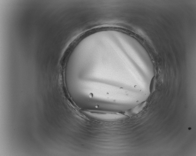 X0000067461360200604281817