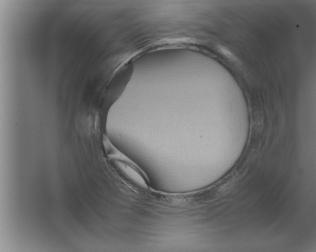 X0000067461361200604281817