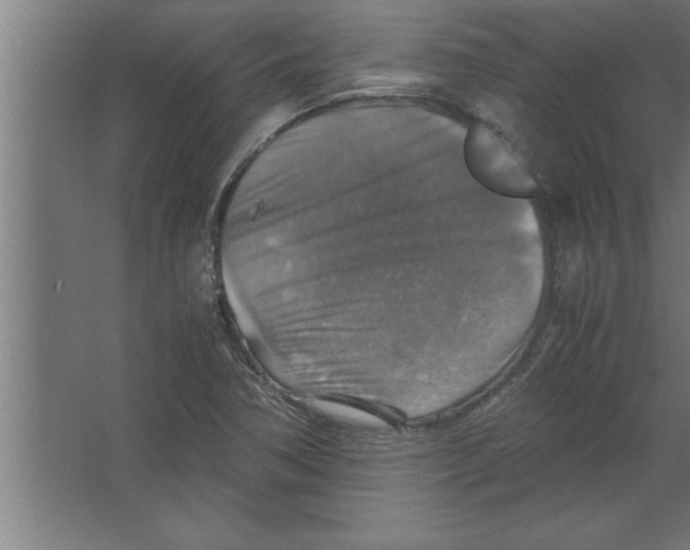 X0000067461362200604281817