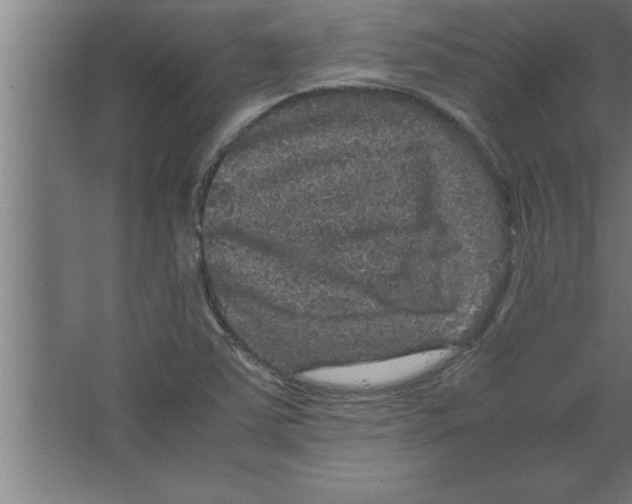 X0000067461363200604281817