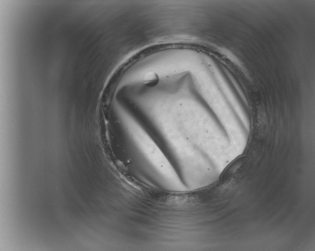 X0000067461364200604281817