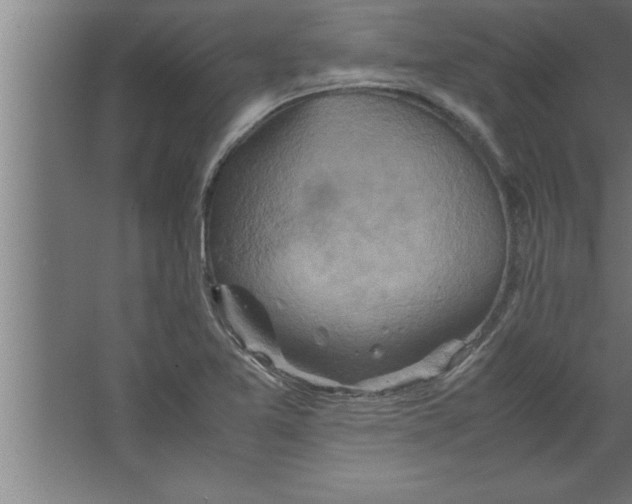 X0000067461365200604281817