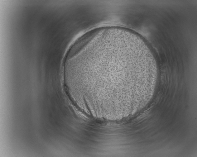 X0000067461366200604281817