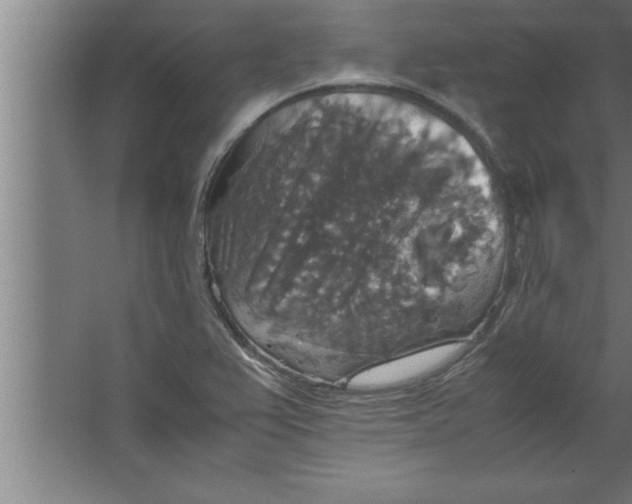 X0000067461367200604281817