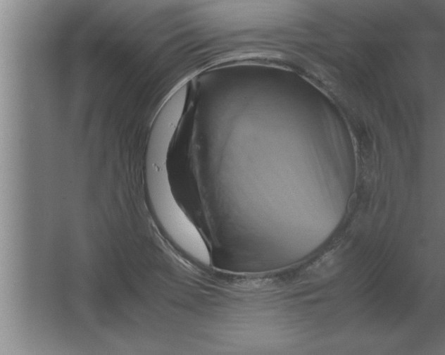 X0000067461369200604281817