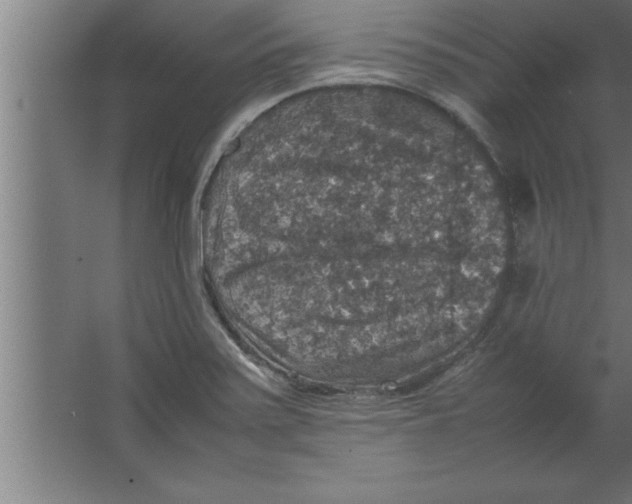 X0000067461371200604281817