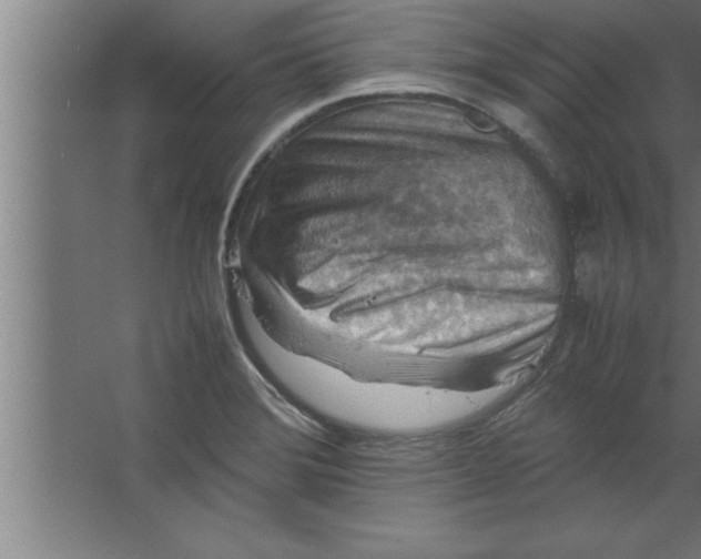 X0000067461372200604281817