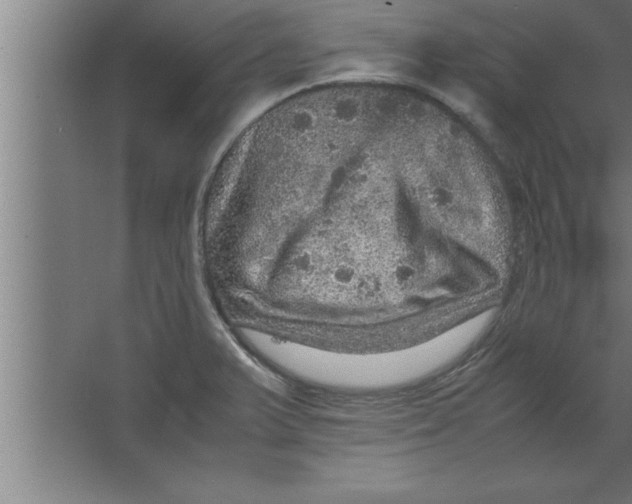 X0000067461375200604281817