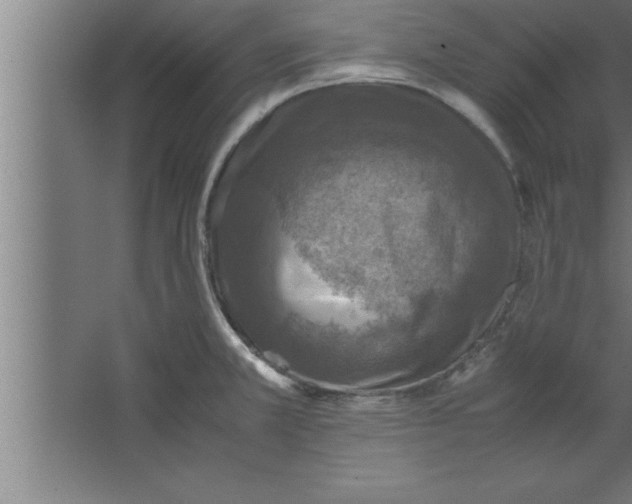 X0000067461381200604281817