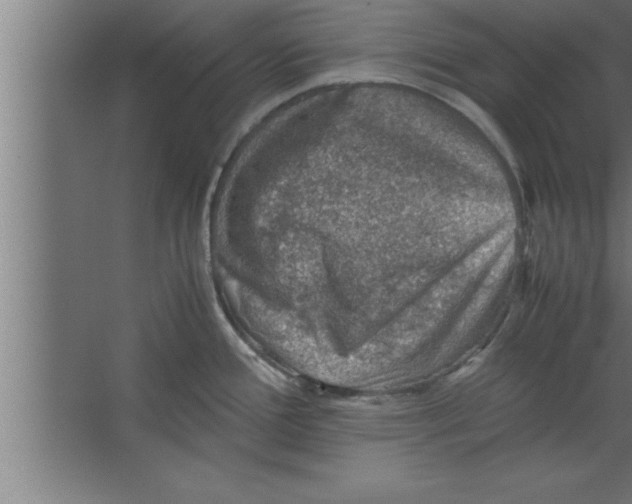 X0000067461388200604281817