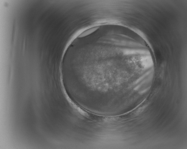 X0000067461389200604281817