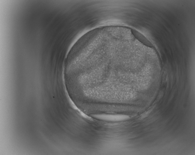 X0000067461390200604281817