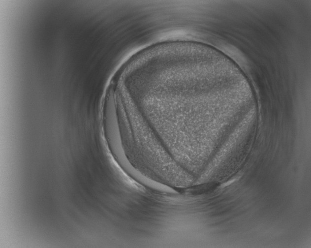 X0000067461392200604281817