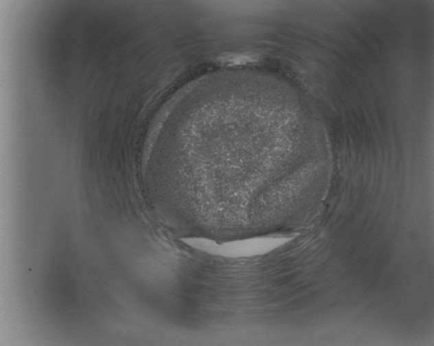 X0000067461393200604281816