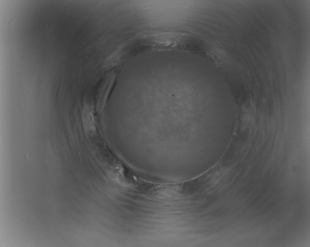 X0000067461394200604281816