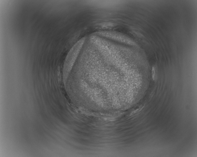 X0000067461395200604281816