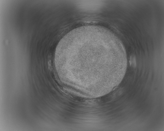 X0000067461396200604281816