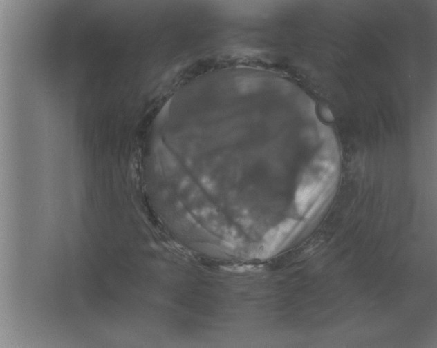 X0000067461397200604281816