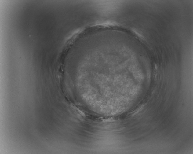 X0000067461398200604281816