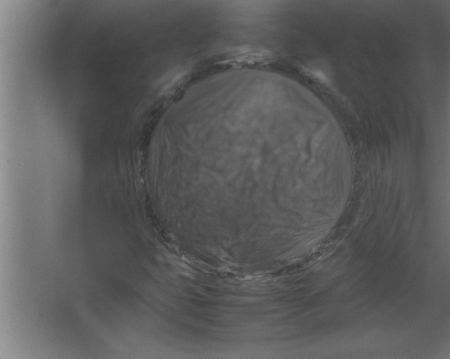 X0000067461399200604281816