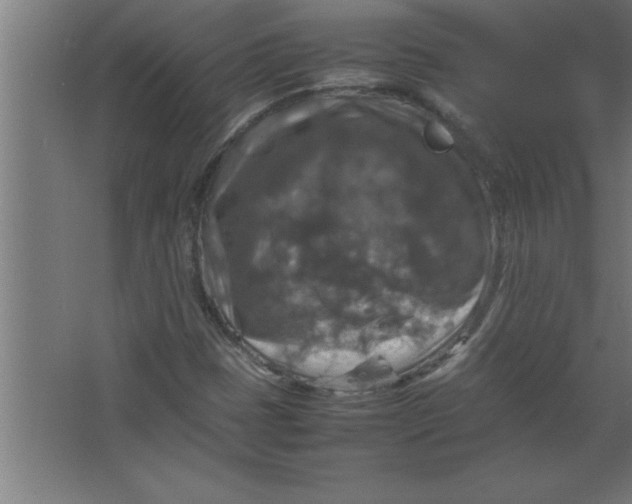 X0000067461401200604281816