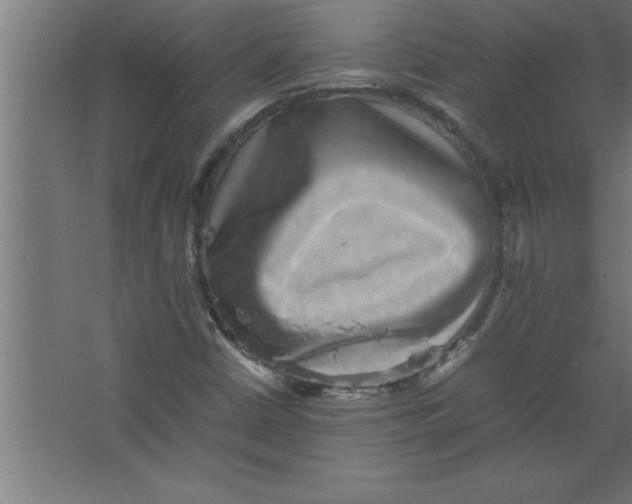 X0000067461402200604281816