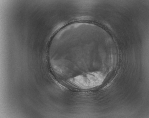 X0000067461405200604281816