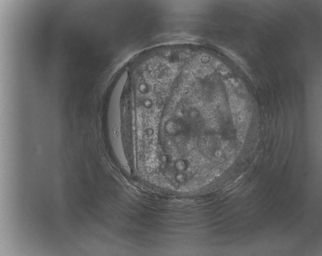 X0000067461407200604281816