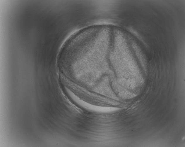 X0000067461408200604281816